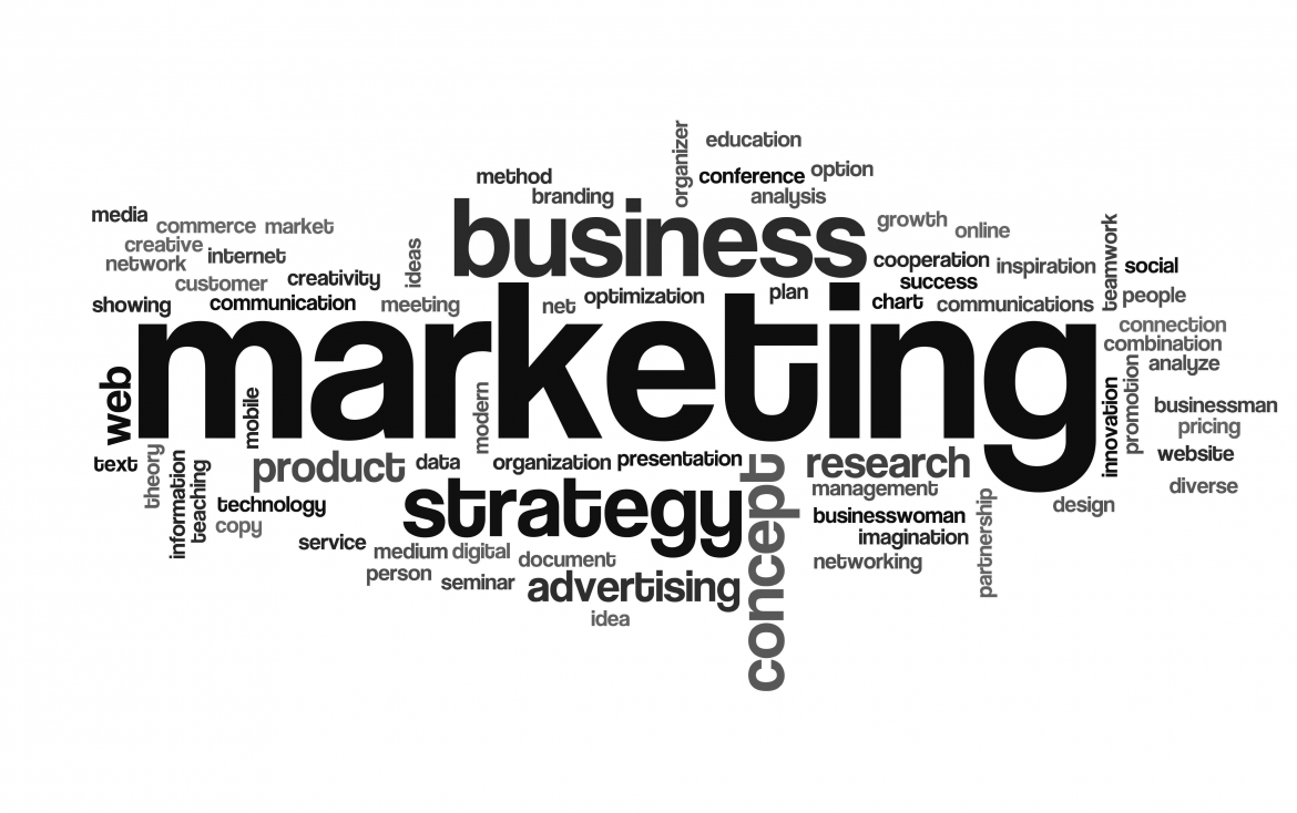 Ngành Marketing Có Những Mảng Nào? Thực Tập Ở Đâu?