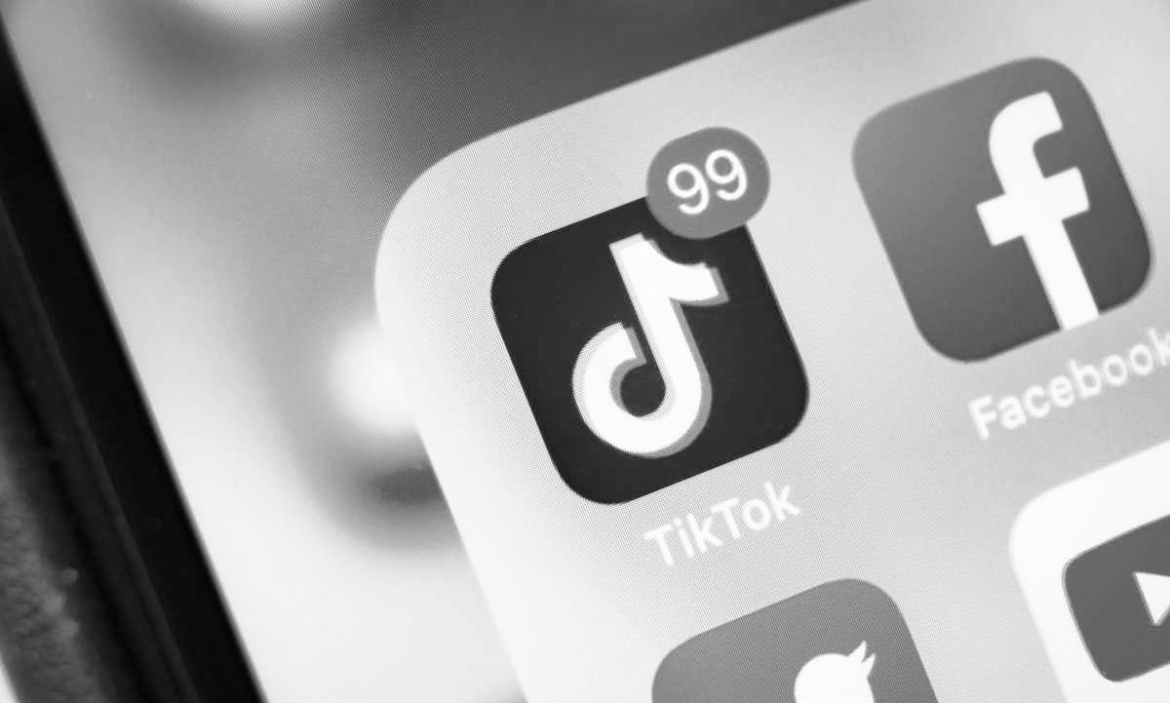 #LearnOnTikTok Là Gì? Bạn Sẽ Học Được Gì Từ Learn On TikTok?